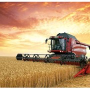 Продажа зерновых как на рынке Украины, так и за ее пределами фотография