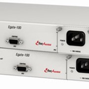 Шлюз многоканальный Ethernet Egate-100