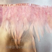 Тесьма перьевая (Петух). Цвет Pink. (0. 5 м) ТПP02-1 фотография