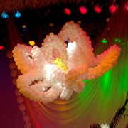 Оформление воздушными шарами, фигуры из воздушных шаров ,Объемная фигура “ Лилия“ фото
