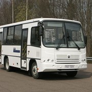 Автобус ПАЗ-3204 фото