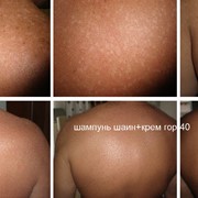 Шампунь Шаин - крем ГОР - 40 фотография