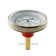 Термометр биметаллический 150°C L=60 50 фото
