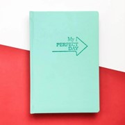 Мотивирующий планер Lifeflux My perfect day, мятный экокожа фото