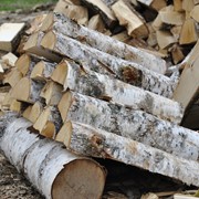 Березовые дрова цена Киев, Киевская обл. доставка фотография