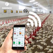 Оборудование для выращивания бройлеров с удаленным фото