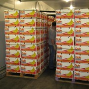 Бананы,фрукты оптом фото