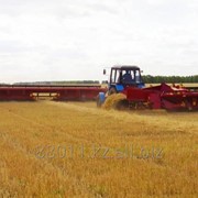 Жатка валковая зерновая ЖВЗ-10,7 фото