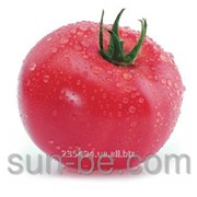 Семена томата индетерминантного Розового Касамори F1 фотография