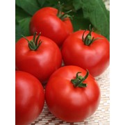 Семена томатов F1 Верлиока плюс фотография