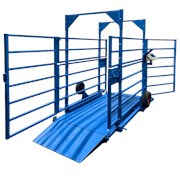 Весы Животноводческие платформенные (ВСП4-ЖСО) ВСП4-1000.2ЖсО9 2000х1500х1000 фото