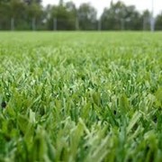 Искусственная трава в Алматы фото