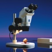Микроскопы бинокулярные лабораторные Stemi 2000 / 2000-C фото