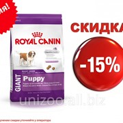 Сухой корм для щенков Royal Canin Giant Puppy 4 кг фото