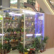 Оборудование торговое фото