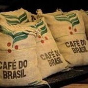 Кофе Арабика Бразилия Сантос, натуральный, зеленый (необжаренный) в зернах
