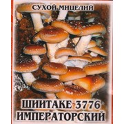Сухой мицелий "Шиитаке 3776 Императорский" /10г/