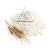 Производство муки в/с. фото