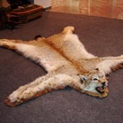 Изготовление ковров из шкур животных фото