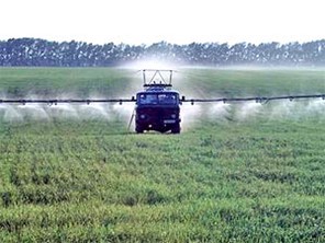 агрофирма луч старомышастовская. агрофирма луч. ооо агрофирма луч. растениеводство в городе. агрофирма луч.