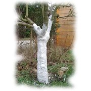 Обрезка плодовых деревьев, кустарников фото