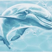 Керамическая плитка 7ЛПЗ606 Лагуна Дельфин фото