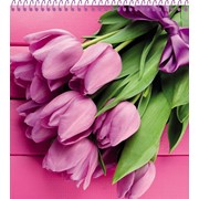 Блокнот Розовые тюльпаны, ф. А6, 48 л., на спирали, (Проф-Пресс) фото