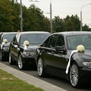 Свадебный VIP кортеж. VW T 5 (10 мест), Мерседес Спринтер (18 мест) Мерседес 220, 221, БМВ Х5, Е65 фото