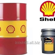 Моторное масло Shell Rimula R4 multi 10W30, 209 л