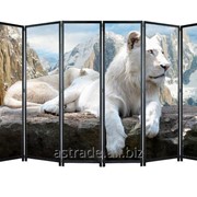 Ширма “Белый лев“ фотография