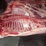 Мясо говяжье фотография