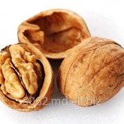 Орехи грецкие Молдова фото