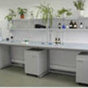 Лаборатория микробиологии