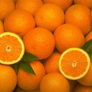 Эфирное масло апельсина сладкого фото