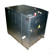 Парогенератор тэновый 100 кг/ч ПАР-100Т фото