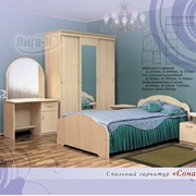 Спальный гарнитур Соната-3 фотография