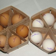 Тара для яиц из шпона шестигранник фотография