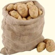 Картофель семенной Скарб 1РС фото