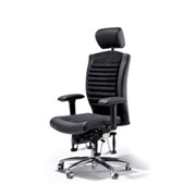 Кресла для офисов Bioswing 560 Detensor фото