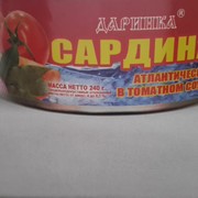 Сардина атлантическая в томатном соусе фото