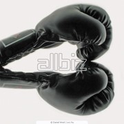 Перчатки боксерские фотография