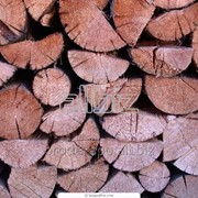 Береза/Дуб дрова в мешках фото