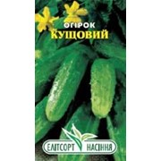 Семена огурца Кустовой 1,5 шт. фото