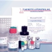 Тест-система для полуколичественного иммуноферментного определения аллергенспецифических IgG-антител в сыворотке крови человека фотография