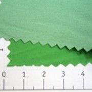 Ткань курточная Dewspo 240T WR/PA/Milky светло-зеленый/S052 16-6340 TP Y фото