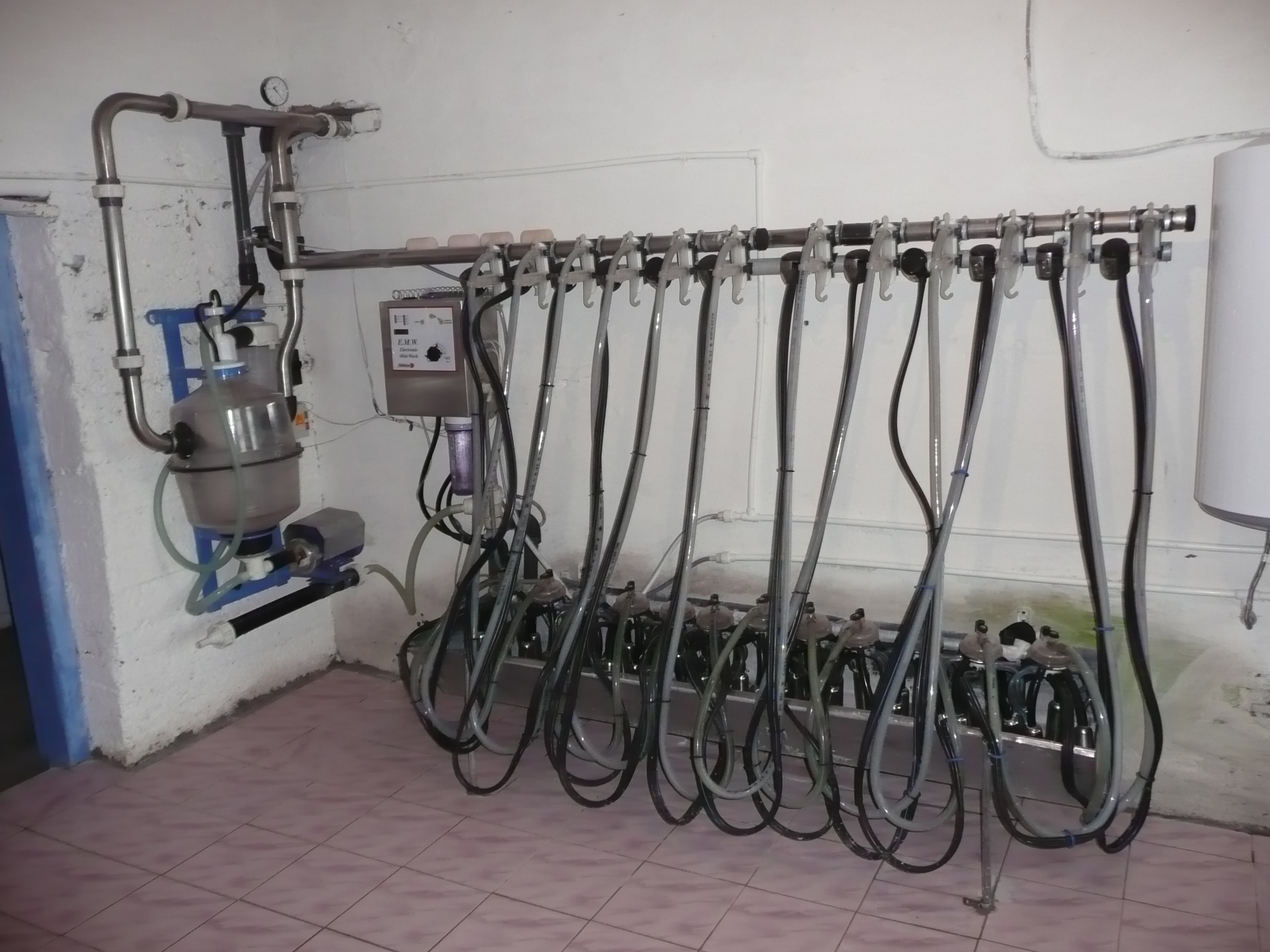 Установки для доения коров. Установки для доения коров. Молокопровод удм 200. Удм 200 доильная установка. Удс 4 доильный станок.