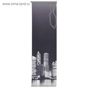Штора рулонная «Сити», 70×175 см, цвет монохром фотография