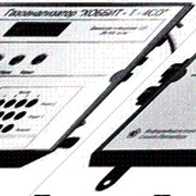 Газоанализатор угарного газа «Хоббит-Т-СО» стационарный (модель И-1052000 для котельных) фотография