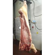Свинина в полутушах 2 категория и свиные субпродукты