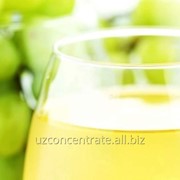 Концентрированный виноградный сок - осветленный фото